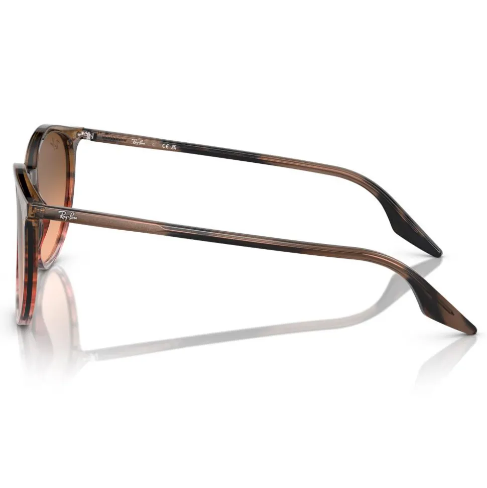 Lunettes de soleil Ray Ban RB2204 Polished Striped Red Brown Gradient Black Pink