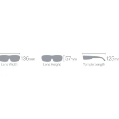 Lunettes de soleil Smith Shift Mag Alpine Green Chromapop Rose Gold Mirror